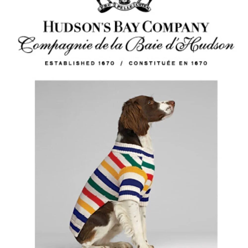 New Hudson Bay Company The Harry Barker Collection Stripes Dog Collar Large NWT